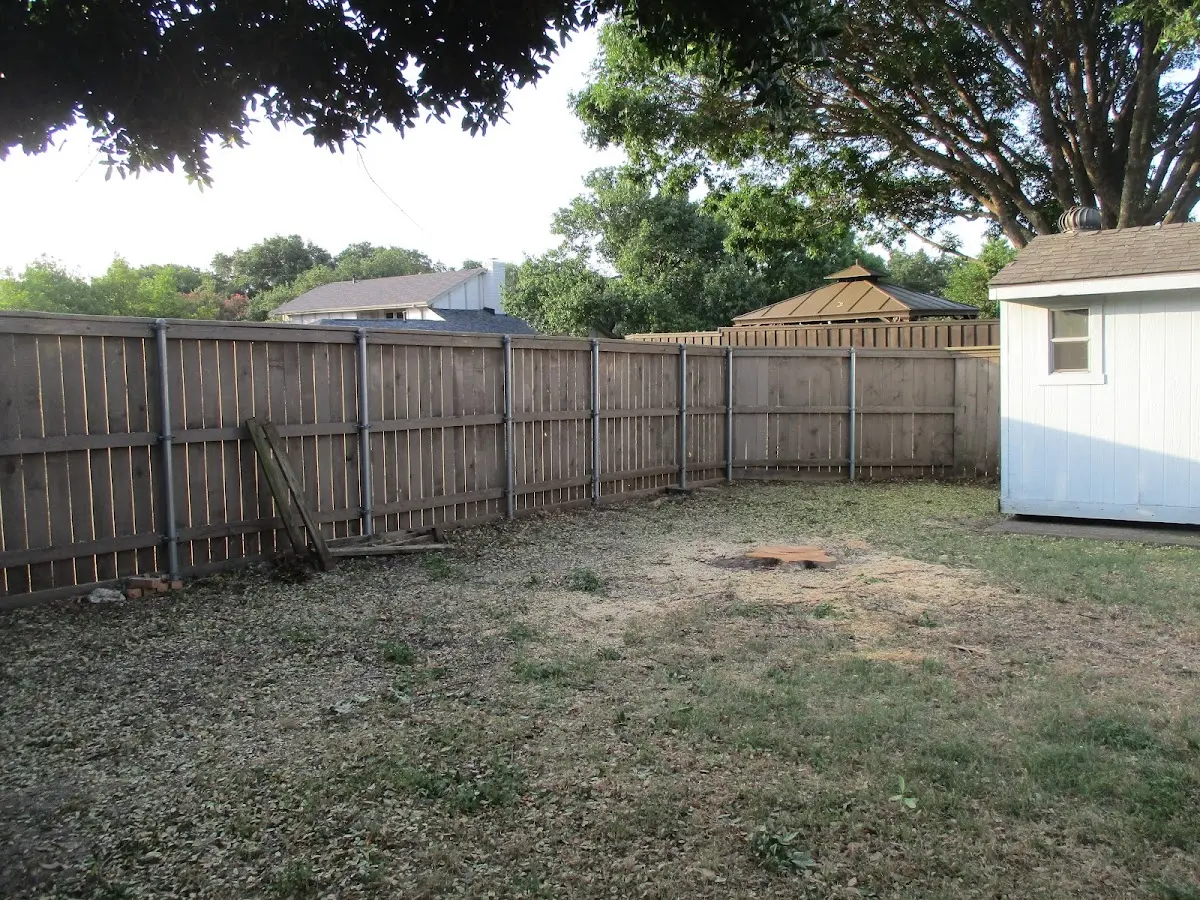 Cleared yard after professional tree removal in West Bridgewater